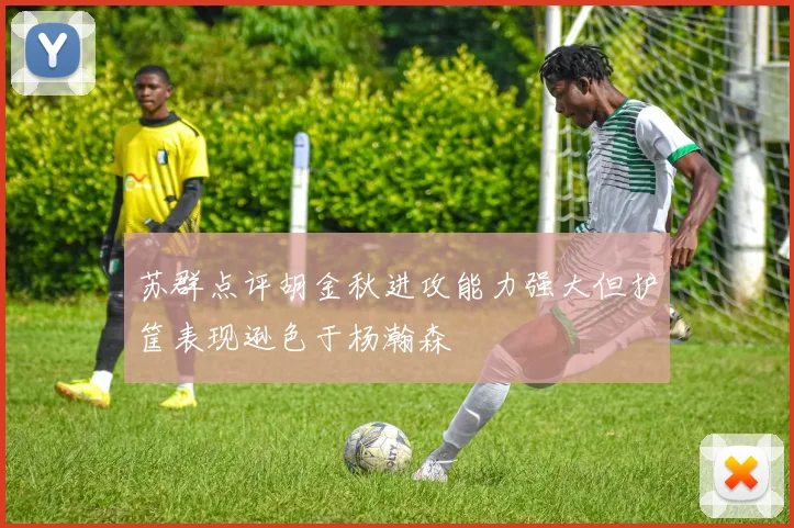 苏群点评胡金秋进攻能力强大但护筐表现逊色于杨瀚森